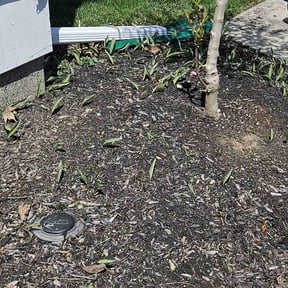 Weeding by Millers lawn care reviewed on July 19, 2022