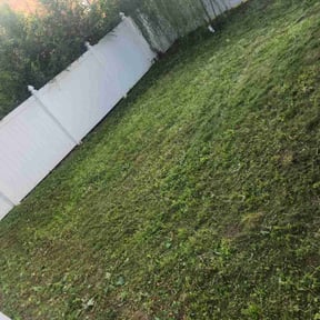 Leaf Removal by Guy for that reviewed on October 4, 2022