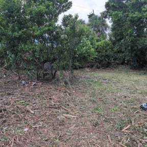 Cleanups by Mowtivated Landscaping reviewed on August 11, 2025