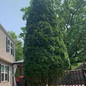 Bush Trimming by J&amp;M Mowing reviewed on May 15, 2025