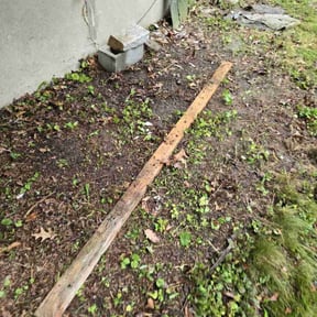Landscaping by J&L 365 Yard Maintenance and Landscaping LLC reviewed on June 17, 2022