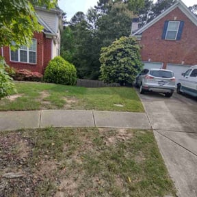 Cleanups by Lawn Pro grounds management reviewed on June 4, 2022