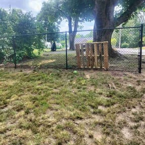 Leaf Removal by Mama maintenance reviewed on July 15, 2022