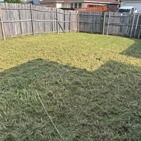 Cleanups by Lawn Star Landscape Group reviewed on May 14, 2022