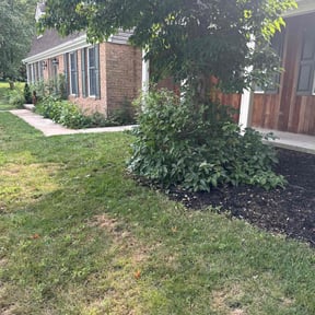 Bush Trimming by Ultimate Landscape Contractor reviewed on July 28, 2022