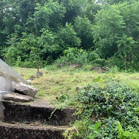 Cleanups by Auggie’s Lawn Care reviewed on May 7, 2021