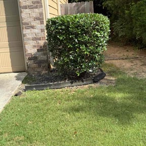 Bush Trimming by C &amp; I reviewed on May 28, 2022