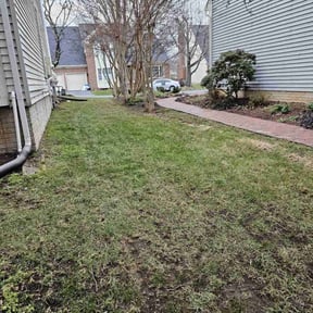 Leaf Removal by Lawn Hub reviewed on June 1, 2022