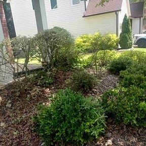 Bush Trimming by Clyde's outdoor pros reviewed on June 28, 2025