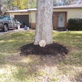 Landscaping by J&A Lawn Care reviewed on August 16, 2024