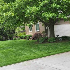 Flower Bed Weeding by Liberty Construction and Maintenance LLC reviewed on May 2, 2025