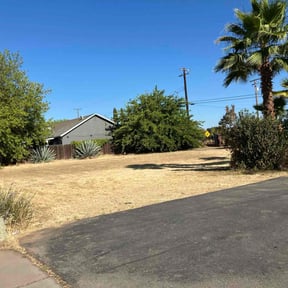 Cleanups by SacTown Clean Green Services LLC reviewed on June 27, 2025