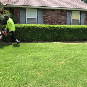 Bush Trimming by No Moore Grass reviewed on July 13, 2022