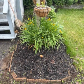 Flower Bed Weeding by Zaire landscaping reviewed on June 2, 2022