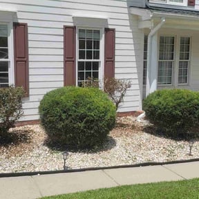 Bush Trimming by Electric Cut Lawn Care LLC reviewed on February 3, 2025