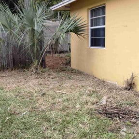 Cleanups by C L  reviewed on May 19, 2025