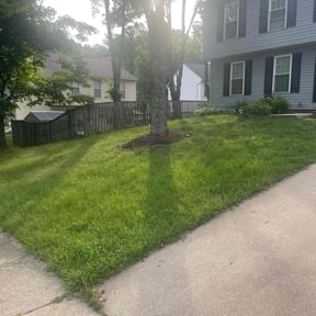Leaf Removal by Esqkuire Lawncare/Snow removal reviewed on October 11, 2021