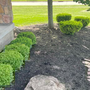 Flower Bed Weeding by Lawn Lacerations LLC reviewed on March 6, 2022