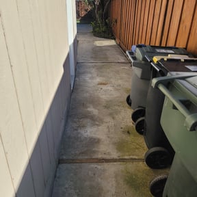 Leaf Removal by TC &#039;s lawncare service reviewed on November 30, 2021