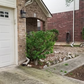 Bush Trimming by Gods Creation reviewed on June 5, 2025