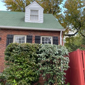 Bush Trimming by Wilson Leon Landscaping reviewed on June 20, 2025