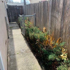 Bush Trimming by Outsiders Landscape Co. LLC reviewed on April 13, 2022