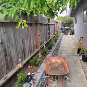 Leaf Removal by Ines lawnscaping reviewed on August 9, 2022