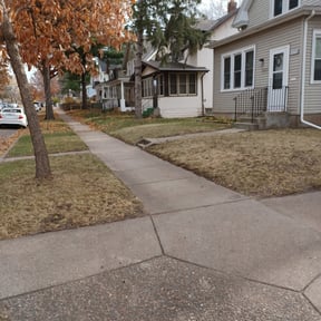 Leaf Removal by Olympus Outdoor Services reviewed on November 6, 2024