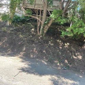 Leaf Removal by Country Neighbor Construction, Maintenance, & Repair reviewed on April 22, 2022