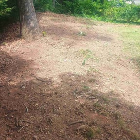 Leaf Removal by Maddox Turf Pros LLC reviewed on June 14, 2022