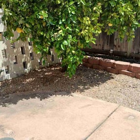 Cleanups by Goodearth Lawn Service reviewed on April 27, 2022