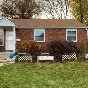 Bush Trimming by All Trim Lawn Services, Inc. reviewed on June 17, 2022