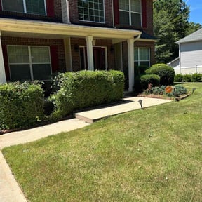 Bush Trimming by CACTUS PRIME VENTURES LTD reviewed on May 16, 2022