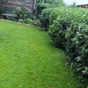 Weeding by Brooms lawn are llc reviewed on July 13, 2022