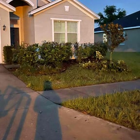 Bush Trimming by Bigfoot Landscape Group . Com reviewed on June 22, 2022