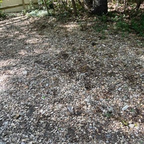 Cleanups by Randy's lawnmower reviewed on July 7, 2022