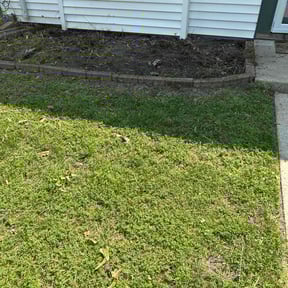 Cleanups by Caesar’s Premier Landscaping reviewed on June 15, 2022