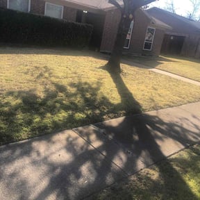 Leaf Removal by North Cutz reviewed on August 29, 2019