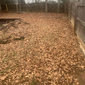 Leaf Removal by Loop's Landscaping reviewed on July 1, 2022