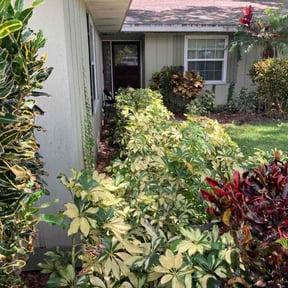 Bush Trimming by Better Price Lawn Service of Central Florida, LLC reviewed on June 12, 2025
