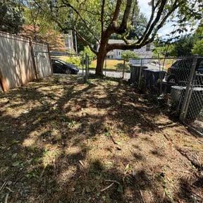 Cleanups by Heiser Lawn and Residential Excavating reviewed on September 16, 2021