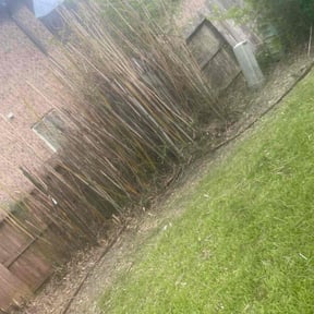 Bush Trimming by Sunnyside Lawn care reviewed on June 24, 2022