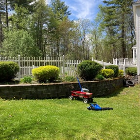 Bush Trimming by RodrÃguez Lawn Care reviewed on May 9, 2022