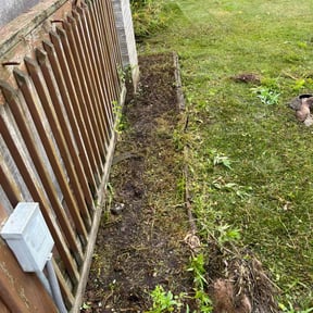 Cleanups by Lawncare By the beach reviewed on May 4, 2022