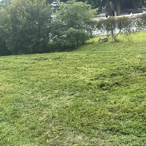 Cleanups by Field of Dreams Landscaping reviewed on March 6, 2025