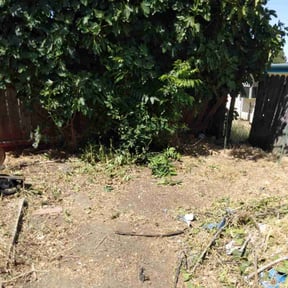 Cleanups by HAPPY MOWERS&HAULING reviewed on July 13, 2022