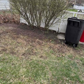 Leaf Removal by Top Notch Lawn Care And Snow removal/ Junk Removal reviewed on June 9, 2020
