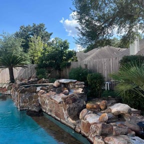 Bush Trimming by We Cutt Dat Lawn Care reviewed on August 15, 2024