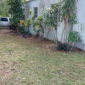 Leaf Removal by Y.A.Y Landscaping reviewed on June 29, 2022