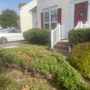 Bush Trimming by MitchellsHaulingservicellc reviewed on May 5, 2025